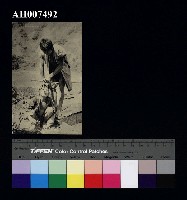 藏品(原住民風俗明信片：布農族拔牙)的圖片